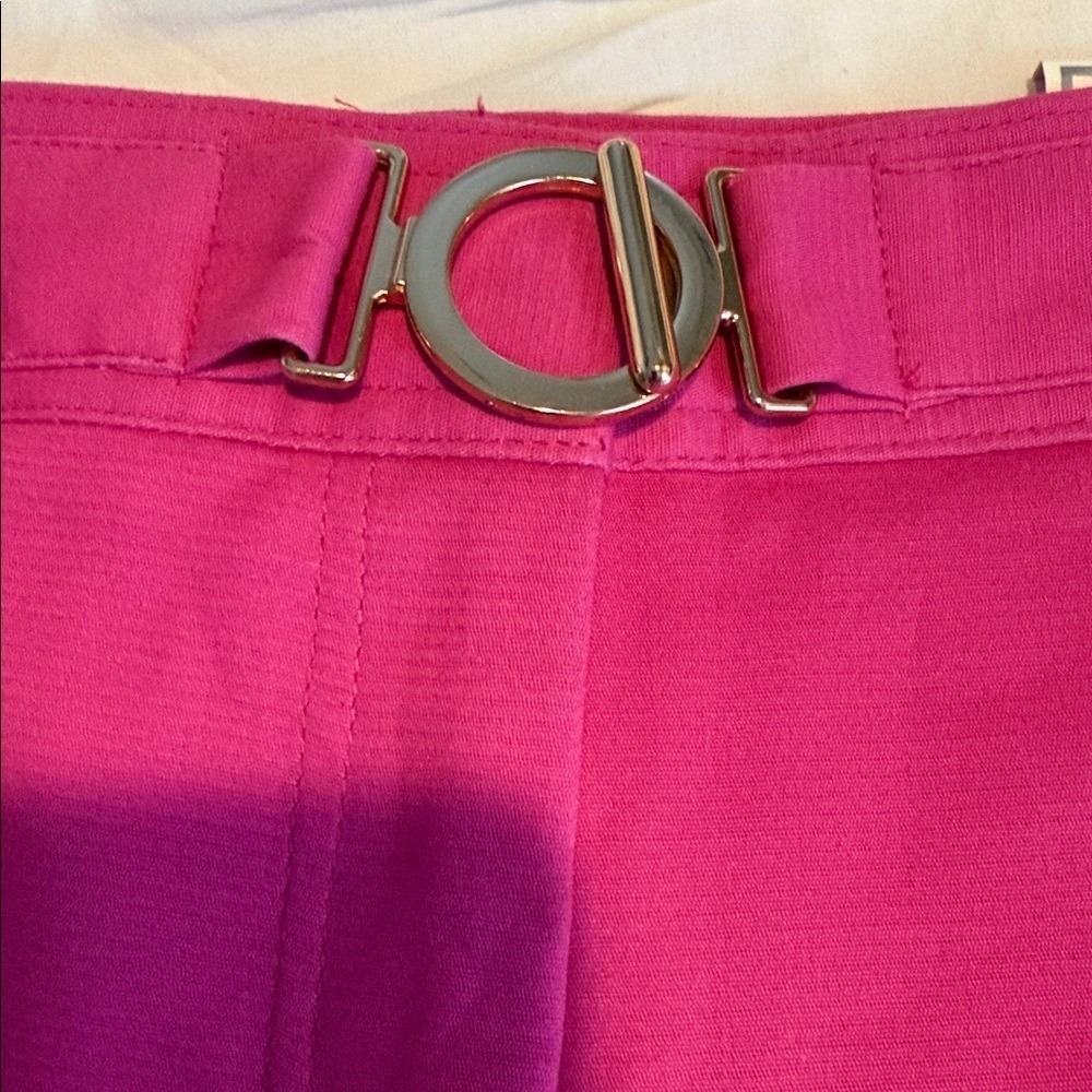 Charter Club Fuchsia Tummy Slimming Classic Fit Women's Shorts size 12 NWT - Picture 5 of 10